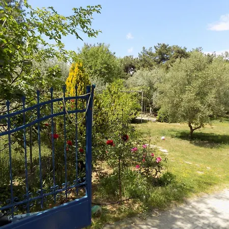 Thassos * Pefkari